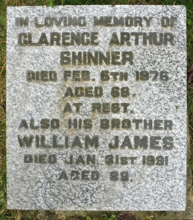Harberton Shinner grave